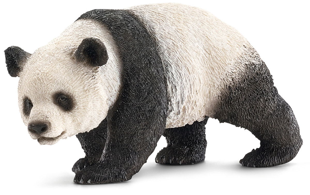 Schleich Фигурка Панда 1470614706 Schleich Фигурка Панда 1470614706Фигурка Schleich Панда обязательно понравится всем любителям этих очаровательных животных и разнообразит сюжетно-ролевые игры вашего ребенка. Более 14 часов в сутки панды тратят на то, чтобы собрать свое любимейшее лакомство - бамбук. Размер панды составляет до 1,5 метров в длину, продолжительность их жизни - около 20 лет. Сейчас эти великолепные животные находятся на грани исчезновения, и ученые всего мира призывают к их сохранности, чего можно достичь разведением панд в зоопарках. Все фигурки Schleich изготовлены из гипоаллергенных высокотехнологичных материалов, раскрашены вручную и не вызывают аллергии у ребенка.