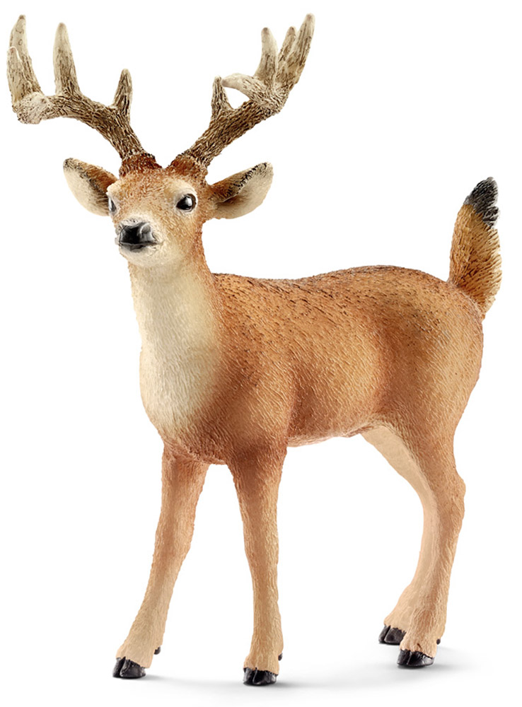 Schleich Фигурка Олень 1470914709 Schleich Фигурка Олень 1470914709Фигурка североамериканского белохвостого оленя с рогами, черным носиком и глазками, обязательно понравится всем любителям этих грациозных животных и станет прекрасным пополнением вашей коллекции фигурок. Олени являются травоядными животными и обитают обычно небольшими группами. В период холодов самцы меняют свою шкуру с красноватым оттенком на более темную - коричневую. Фигурка Schleich Олень изготовлена из гипоаллергенных высокотехнологичных материалов, раскрашена вручную и не вызывает аллергии у ребенка.