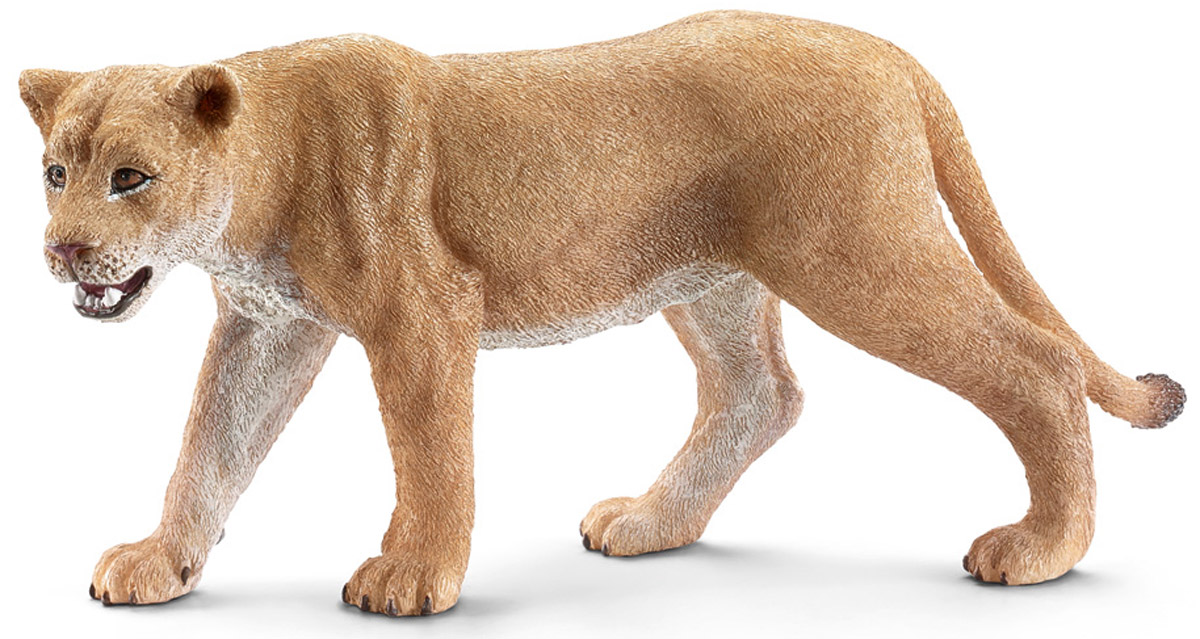 Schleich Фигурка Львица14712 Schleich Фигурка Львица14712Львы обычно обитают небольшими группами в африканской саванне и охотятся вместе. Для того, чтобы экономить силы на охоту и защищать свою территорию, львы могут спать по 20 часов в сутки. Рев льва очень громкий и может распространяться до 8 километров. Таким образом, они могут общаться друг с другом и предупреждать об опасности. Молодые львы и львицы имеют светло- коричневую короткую шкуру, у взрослых львов - широкие темно-коричневые. Фигурка Schleich Львица выполнена из гипоаллергенных высокотехнологичных материалов, раскрашена вручную и не вызывает аллергии у ребенка. Прекрасно выполненные фигурки Schleich отличаются высочайшим качеством игрушек ручной работы. Все они создаются при постоянном сотрудничестве с Берлинским зоопарком, а потому являются максимально точной копией настоящих животных. Каждая фигурка разработана с учетом исследований в области педагогики и производится как настоящее произведение для маленьких детских ручек.