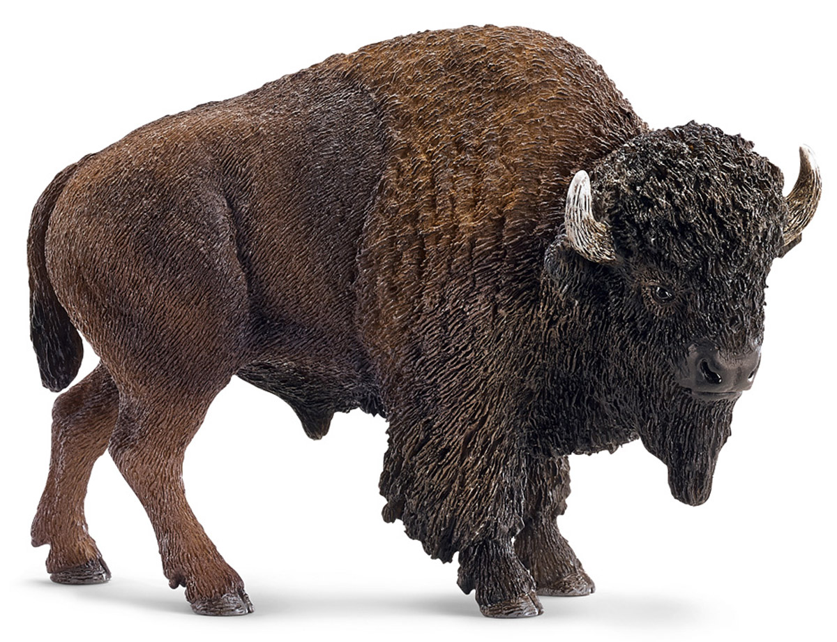 Schleich Фигурка Американский бизон14714 Schleich Фигурка Американский бизон14714Бизоны - одни из самых крупных и мощных млекопитающих, которые могут достигать 180 см в высоту. Бизоны живут стадами и являются травоядными животными, что не мешает им быть мощными и агрессивными. Фигурки Schleich выполнены из безопасного для здоровья детей каучукового пластика с максимальной точностью, каждая фигурка раскрашивается вручную. Реалистичные фигурки детально точно воспроизводят настоящих животных, обитателей различных стран. Ребенок сможет изучать особенности их строения, поведения и питания. Фигурки Schleich - превосходный педагогический материал для использования дома и в образовательных учреждениях.