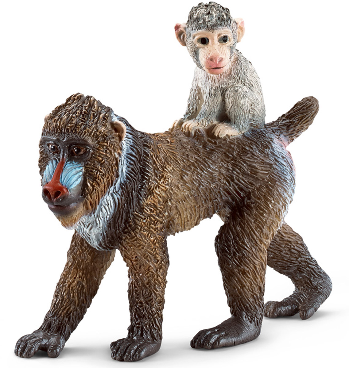 Schleich Фигурка Самка мандрила с детенышем14716 Schleich Фигурка Самка мандрила с детенышем14716Фигурка коричневой самки мандрила с разноцветными пятнами на лице и сидящем на спине детенышем разнообразит игры с фигурками животных вашего ребенка и станет прекрасным пополнением вашей коллекции игрушек Schleich. Все фигурки Schleich выполнены из гипоаллергенных высокотехнологичных материалов, раскрашены вручную и не вызывают аллергии у ребенка. Прекрасно выполненные фигурки отличаются высочайшим качеством игрушек ручной работы. Все они создаются при постоянном сотрудничестве с Берлинским зоопарком, а потому являются максимально точной копией настоящих животных. Каждая фигурка разработана с учетом исследований в области педагогики и производится как настоящее произведение для маленьких детских ручек. Мандрилы обитают в лесах Центральной Африки. Яркие синие, красные пятна на лице и желтая борода делают их одними из самых ярких млекопитающих на планете. Мандрилы всеядны, но в основном питаются фруктами и семенами. Живут группами до 200 животных,...