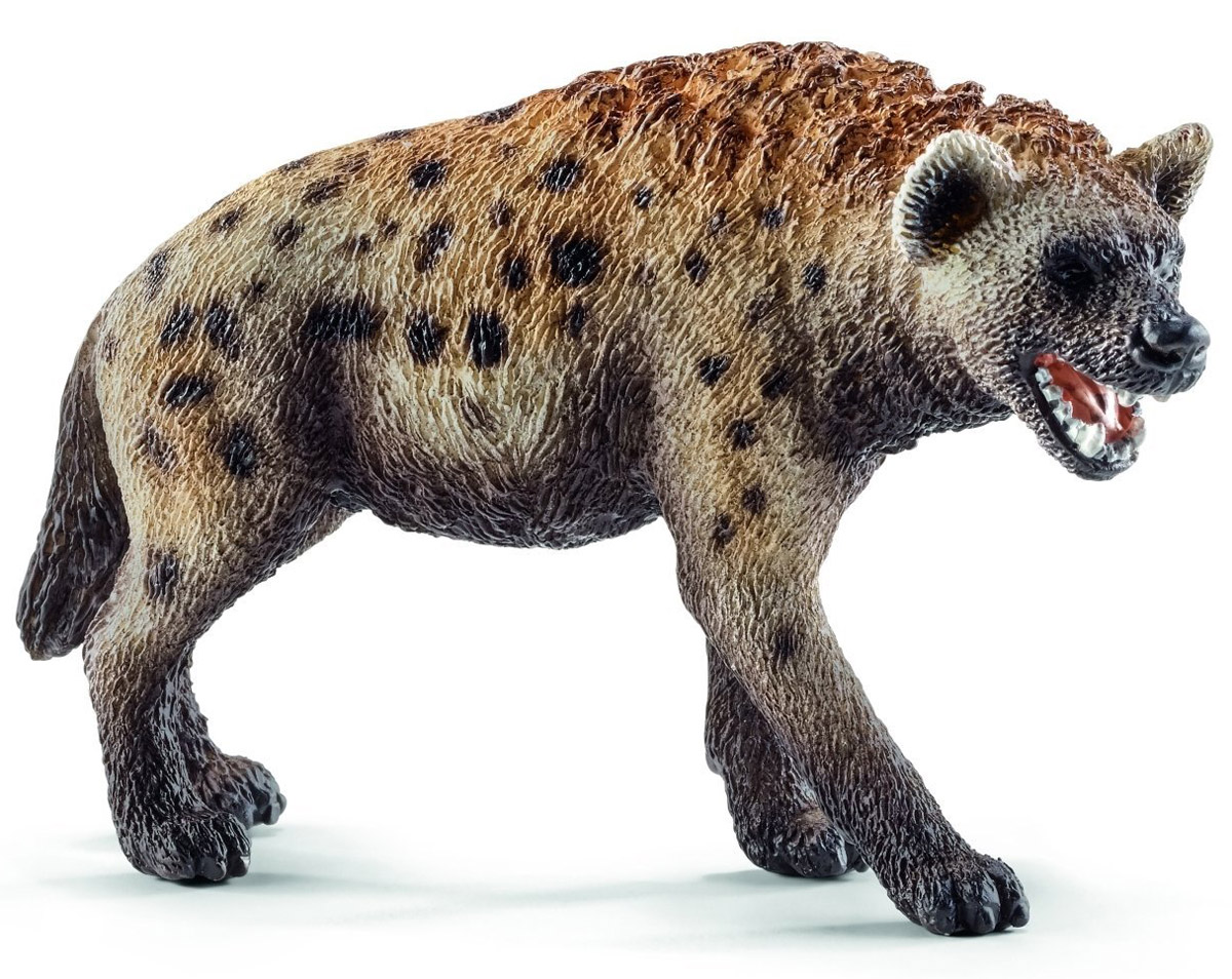 Schleich Фигурка Гиена14735 Schleich Фигурка Гиена14735Фигурка Schleich Гиена понравится всем любителям животных и станет прекрасным дополнением коллекции животных. Фигурки Schleich выполнены из безопасного для здоровья детей каучукового пластика с максимальной точностью, каждая фигурка раскрашивается вручную. Реалистичные фигурки детально точно воспроизводят настоящих животных, обитателей различных стран. Ребенок сможет изучать особенности их строения, поведения и питания. Фигурки Schleich - превосходный педагогический материал для использования дома и в образовательных учреждениях. Гиены живут в африканской саванне. Они живут группами и охотятся на рассвете или в сумерках. Фигурка гиены напоминает собаку. Она выполнена в бежево-коричневых тонах. По телу гиены разбросаны темные пятнышки.
