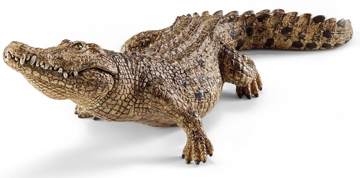Schleich Фигурка Крокодил14736 Schleich Фигурка Крокодил14736Фигурка Schleich Крокодил понравится всем любителям животных своей реалистичностью и станет прекрасным дополнением коллекции животных. Все фигурки Schleich выполнены из гипоаллергенных высокотехнологичных материалов, раскрашены вручную и не вызывают аллергии у ребенка. Изделия отличаются высочайшим качеством игрушек ручной работы. Все они создаются при постоянном сотрудничестве с Берлинским зоопарком, а потому являются максимально точной копией настоящих животных. Каждая фигурка разработана с учетом исследований в области педагогики и производится как настоящее произведение для маленьких детских ручек. Все ныне живущие крокодилы являются полуводными животными. Крокодилы обитают во всех тропических странах в пресных водоемах. Некоторые виды могут обитать в соленой воде, поэтому их можно встретить в прибрежной части моря. Большую часть суток крокодилы проводят в воде.