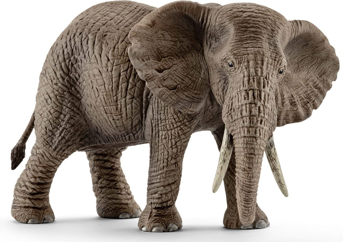 Schleich Фигурка Африканская слониха14761 Schleich Фигурка Африканская слониха14761Африка - континент больших табунов, опасных хищников, серых великанов и невообразимого разнообразия видов. Африканский слон - самое крупное животное на земле. Интересная особенность - у африканского слона - 4 пальца на передних ногах и 5 на задних. С помощью своего длинного и гибкого хобота африканские слоны общаются друг с другом через осязание и обоняние. Фигурка Schleich Африканская слониха порадует всех маленьких любителей животных и станет достойным дополнением коллекции диких животных. Фигурки Schleich выполнены из безопасного для здоровья детей каучукового пластика с максимальной точностью, каждая фигурка раскрашивается вручную. Реалистичные фигурки детально точно воспроизводят настоящих животных, обитателей различных стран. Ребенок сможет изучать особенности их строения, поведения и питания. Фигурки Schleich - превосходный педагогический материал для использования дома и в образовательных учреждениях.
