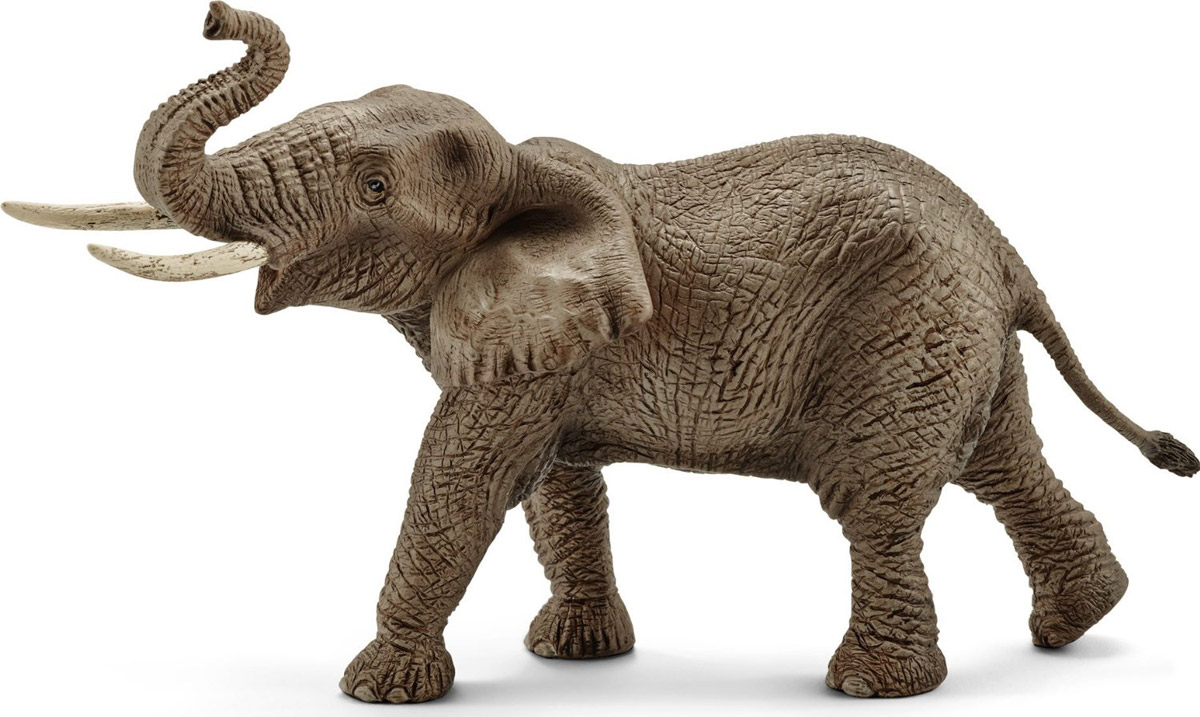 Schleich Фигурка Африканский слон14762 Schleich Фигурка Африканский слон14762Африка - континент больших табунов, опасных хищников, серых великанов и невообразимого разнообразия видов. Африканский слон - самое крупное животное на земле. Интересная особенность - у африканского слона - 4 пальца на передних ногах и 5 на задних. С помощью своего длинного и гибкого хобота африканские слоны общаются друг с другом через осязание и обоняние. Фигурка Schleich Африканский слон порадует всех маленьких любителей животных и станет достойным дополнением коллекции диких животных. Фигурки Schleich выполнены из безопасного для здоровья детей каучукового пластика с максимальной точностью, каждая фигурка раскрашивается вручную. Реалистичные фигурки детально точно воспроизводят настоящих животных, обитателей различных стран. Ребенок сможет изучать особенности их строения, поведения и питания. Фигурки Schleich - превосходный педагогический материал для использования дома и в образовательных учреждениях.