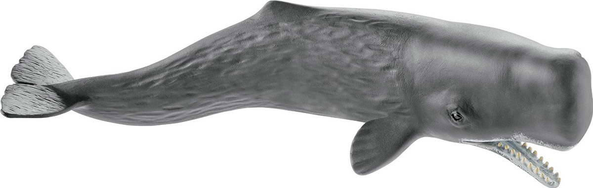Schleich Фигурка Кашалот14764 Schleich Фигурка Кашалот14764Кашалот является одним из самых крупных китов, он имеет огромную квадратную голову, которая составляет 1/3 его тела. Кашалоты могут погружаться на глубину 3000 метров и оставаться под водой до двух часов. Кашалоты питаются кальмарами и могут съесть до 1,5 тонн кальмаров в сутки. Фигурка Schleich Кашалот станет прекрасным пополнением коллекции игрушек и разнообразит игры вашего ребенка. Прекрасно выполненные фигурки Schleich отличаются высочайшим качеством игрушек ручной работы. Все они создаются при постоянном сотрудничестве с Берлинским зоопарком, а потому являются максимально точной копией настоящих животных. Каждая фигурка разработана с учетом исследований в области педагогики и производится как настоящее произведение для маленьких детских ручек.
