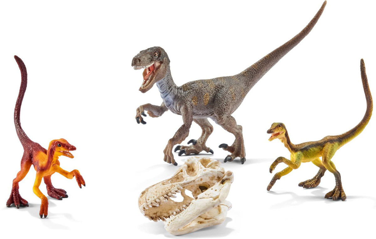Schleich Набор фигурок Велоцирапторы на охоте 3 шт42259 Schleich Набор фигурок Велоцирапторы на охоте 3 шт42259Набор фигурок Schleich Велоцирапторы на охоте произведет впечатление на каждого ребенка и увлекающегося коллекционера. Красочные фигурки имеют реальное сходство с вымершими животными, приятны на ощупь и безопасны для игр детей. Динозавры выполнены из качественного каучукового пластика, который безопасен для детей. Каждая игрушка выполнена с особенной тщательностью и вниманием к деталям. Игрушки раскрашиваются вручную, имеют оригинальную текстуру. В набор входят 3 фигурки велоцирапторов и череп тираннозавра Рекса. Набор станет прекрасным подарком для всех поклонников динозавров, с которыми будет интересно устраивать увлекательные игры и наслаждаться красочными фигурами доисторических животных.