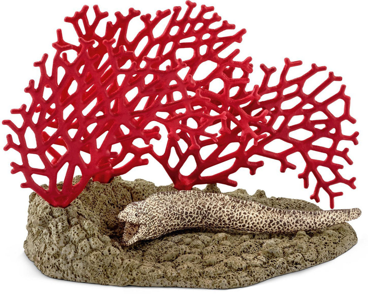 Schleich Фигурка Мурена42326 Schleich Фигурка Мурена42326Фигурка Schleich Мурена позволит в интересной игровой форме рассказать ребенку о редких обитателях морских глубин. В этот набор входит морское дно с кораллами и фигурка кружевной мурены. Кружевные мурены являются самыми крупными муренами на планете и могут достигать 4 метров в длину. Обитают на глубине приблизительно 40 метров и прячутся в морских пещерах и глубоководных кораллах. Фигурки Schleich выполнены из безопасного для здоровья детей каучукового пластика с максимальной точностью, каждая фигурка раскрашивается вручную. Реалистичные фигурки детально точно воспроизводят настоящих животных, обитателей различных стран. Ребенок сможет изучать особенности их строения, поведения и питания. Фигурки Schleich - превосходный педагогический материал для использования дома и в образовательных учреждениях.