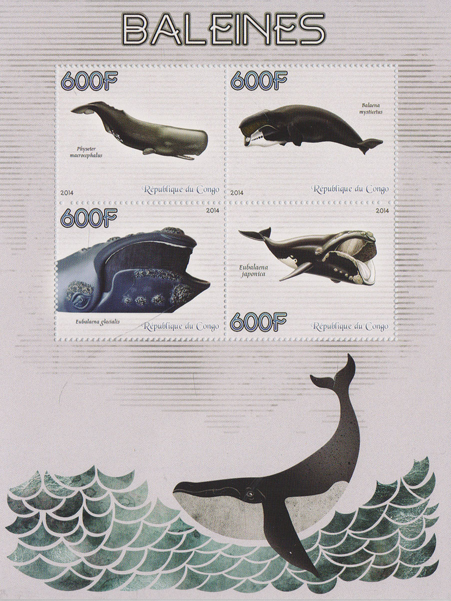 Малый лист Киты. Конго, 2014 годМКСПБ 37-2016.38 Малый лист Киты. Конго, 2014 годМКСПБ 37-2016.38Малый лист Киты. Конго, 2014 год. Размер листа: 12.5 х 16.5 см. Размер марок: 3.7 х 4.7 см. Сохранность хорошая.