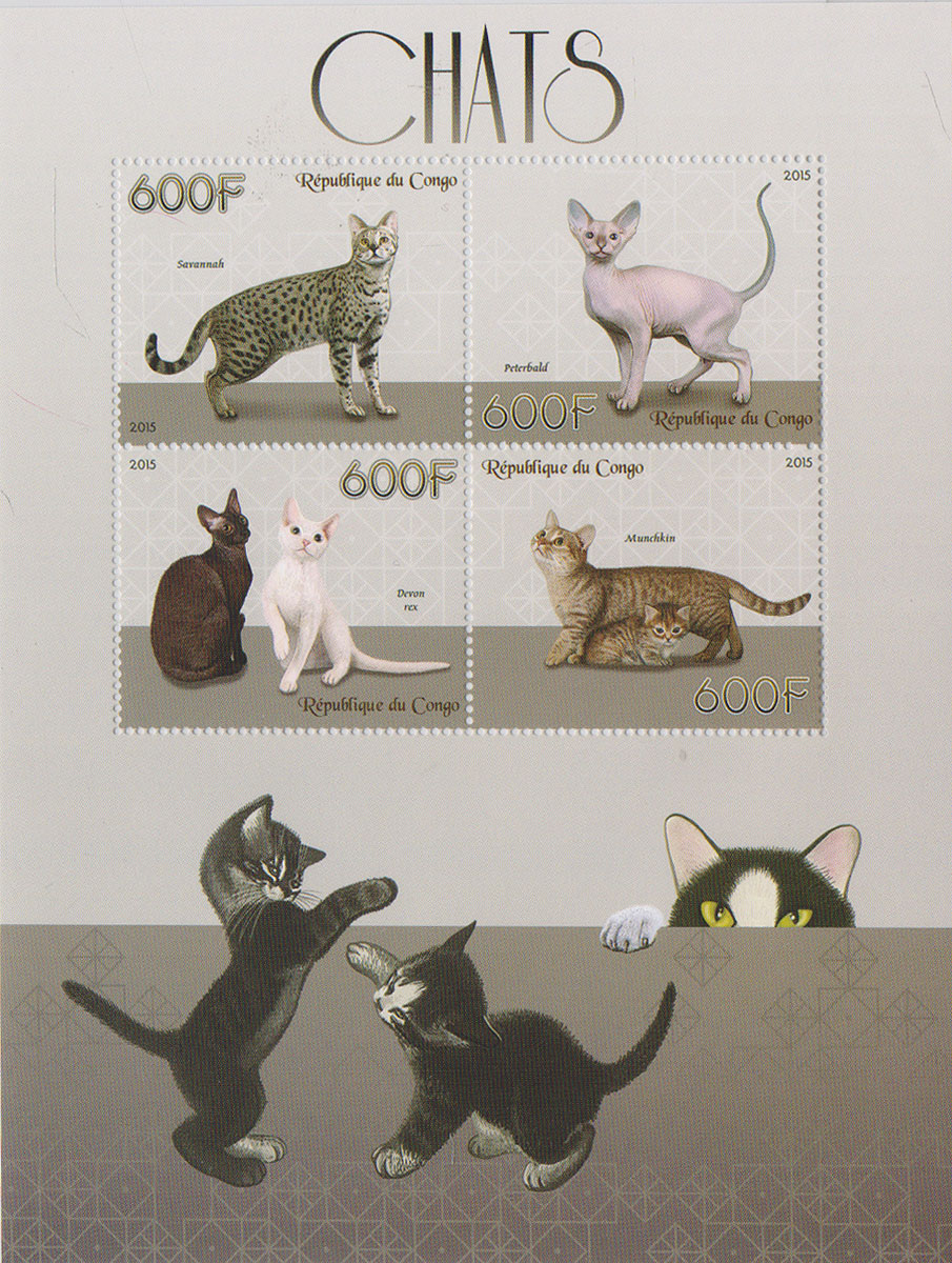 Малый лист Кошки. Конго, 2014 годМКСПБ 37-2016.38 Малый лист Кошки. Конго, 2014 годМКСПБ 37-2016.38Малый лист Кошки. Конго, 2014 год. Размер листа: 12.5 х 16.5 см. Размер марок: 3.7 х 4.7 см. Сохранность хорошая.
