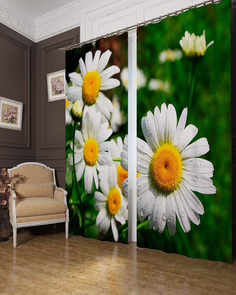 Комплект фотоштор Сирень Крупные ромашки, на ленте, высота 260 см02945-ФШ-БЛ-001 Комплект фотоштор Сирень Крупные ромашки, на ленте, высота 260 см02945-ФШ-БЛ-001Фотошторы Сирень Крупные ромашки, выполненные из блэкаута, отлично дополнят украшение любого интерьера. Блэкаут - это трехслойная светонепроницаемая ткань - 100% полиэстер, по структуре напоминает плотный хлопок, очень мягкий,с небольшим сероватым оттенком из-за черной нити, входящей в состав ткани. Блэкаут не требует особого ухода, хорошо драпируется. Пропускает солнечные лучи не более 5%. Крепление на карниз при помощи шторной ленты на крючки. В комплекте 2 шторы. Ширина одного полотна: 145 см. Высота штор: 260 см. Рекомендации по уходу: стирка при 30 градусах, гладить при температуре до 110 градусов. Изображение на мониторе может немного отличаться от реального.