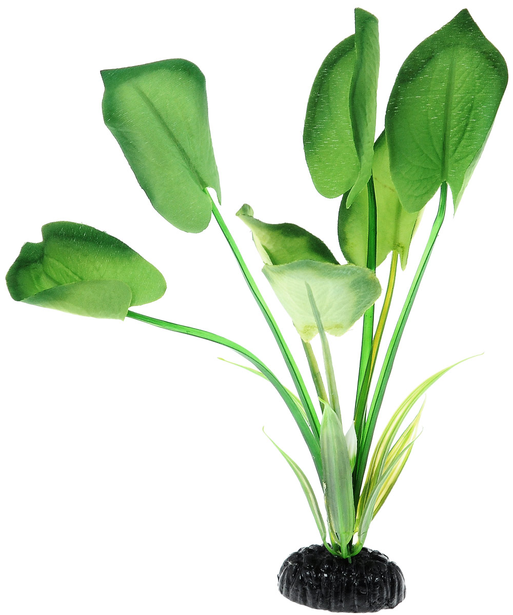 Растение для аквариума Barbus Эхинодорус, шелковое, высота 20 см. Plant 044/20Plant 044/20 Растение для аквариума Barbus Эхинодорус, шелковое, высота 20 см. Plant 044/20Plant 044/20Растение для аквариума Barbus Эхинодорус, выполненное из высококачественного нетоксичного пластика и шелка, станет прекрасным украшением вашего аквариума. Шелковое растение идеально подходит для дизайна всех видов аквариумов. В воде происходит абсолютная имитация живых растений. Изделие не требует дополнительного ухода и просто в применении. Растение абсолютно безопасно, нейтрально к водному балансу, устойчиво к истиранию краски, подходит как для пресноводного, так и для морского аквариума. Растение для аквариума Barbus Эхинодорус поможет вам смоделировать потрясающий пейзаж на дне вашего аквариума или террариума.