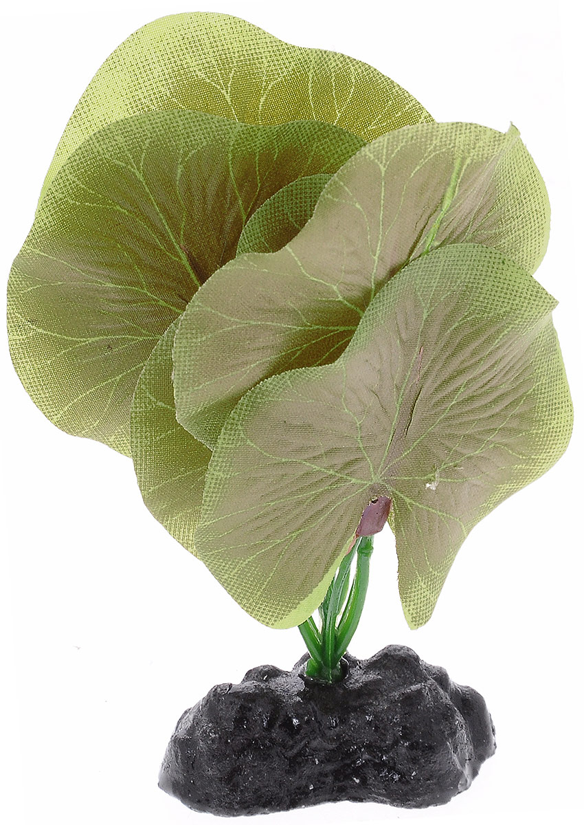 Растение для аквариума Barbus Лотос, шелковое, высота 10 смPlant 053/10 Растение для аквариума Barbus Лотос, шелковое, высота 10 смPlant 053/10Растение для аквариума Barbus Лотос, выполненное из качественного шелка, станет оригинальным украшением вашего аквариума. В воде создается абсолютная имитация живого растения. Можно использовать в любой воде: пресной или морской. Изделие полностью безопасно для обитателей аквариума, не токсично, нейтрально к водному балансу, устойчиво к истиранию краски. Растение Barbus поможет вам смоделировать потрясающий пейзаж на дне вашего аквариума или террариума. Высота растения: 10 см.