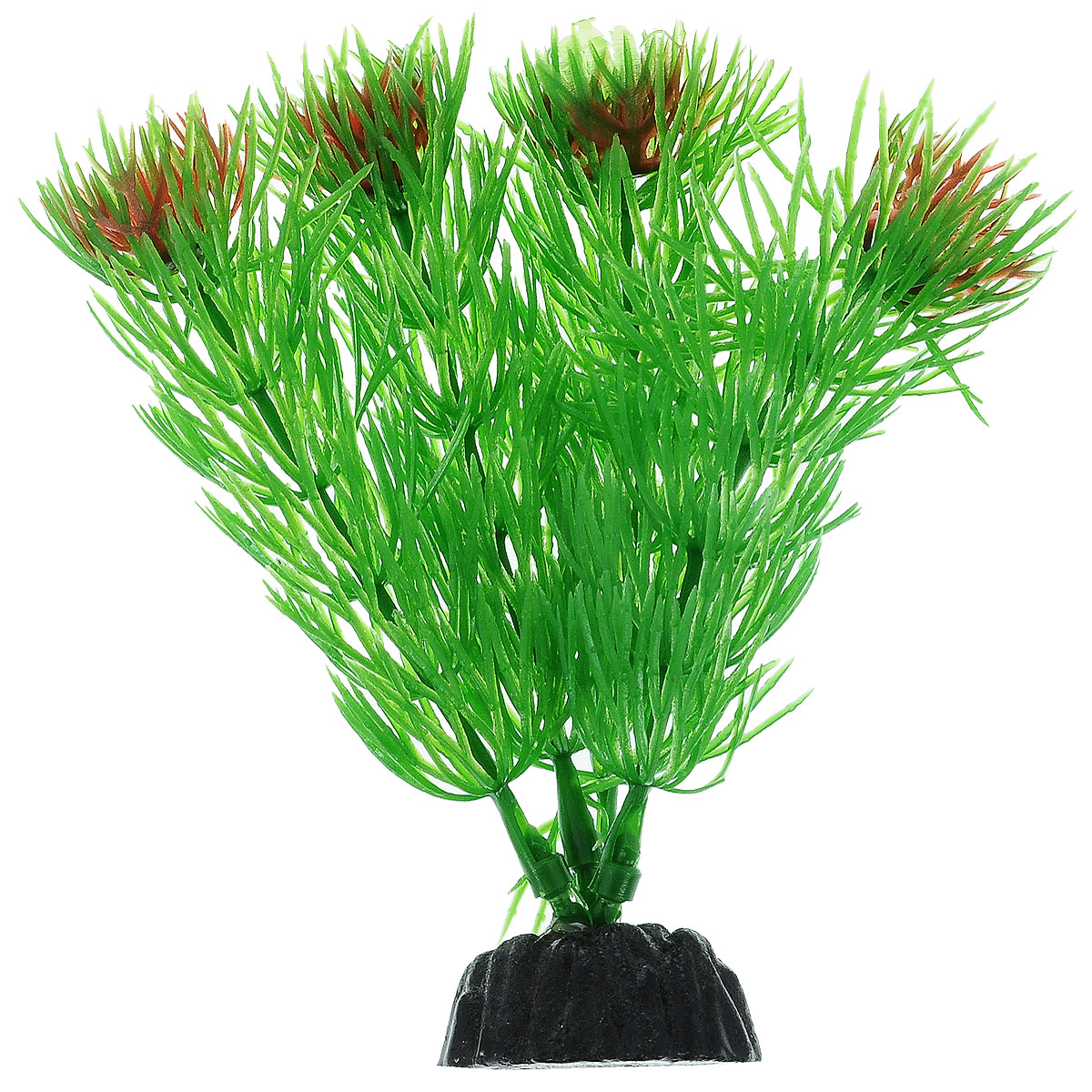 Растение для аквариума Barbus Амбулия, пластиковое, высота 10 смPlant 002/10 Растение для аквариума Barbus Амбулия, пластиковое, высота 10 смPlant 002/10Растение для аквариума Barbus Амбулия, выполненное из качественного пластика, станет прекрасным украшением вашего аквариума. Пластиковое растение идеально подходит для дизайна всех видов аквариумов. Оно абсолютно безопасно, нейтрально к водному балансу, устойчиво к истиранию краски, подходит как для пресноводного, так и для морского аквариума. Растение для аквариума Barbus поможет вам смоделировать потрясающий пейзаж на дне вашего аквариума или террариума. Высота растения: 10 см.