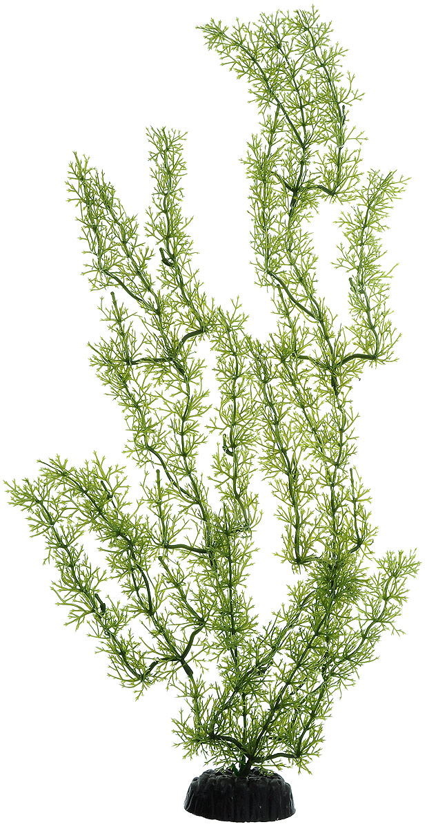 Растение для аквариума Barbus Яванский мох, пластиковое, высота 50 смPlant 024/50 Растение для аквариума Barbus Яванский мох, пластиковое, высота 50 смPlant 024/50Растение для аквариума Barbus Яванский мох, выполненное из качественного пластика, станет оригинальным украшением вашего аквариума. Пластиковое растение идеально подходит для дизайна всех видов аквариумов. Оно абсолютно безопасно, нейтрально к водному балансу, устойчиво к истиранию краски, подходит как для пресноводного, так и для морского аквариума. Растение для аквариума Barbus Яванский мох поможет вам смоделировать потрясающий пейзаж на дне вашего аквариума или террариума. Высота растения: 50 см.