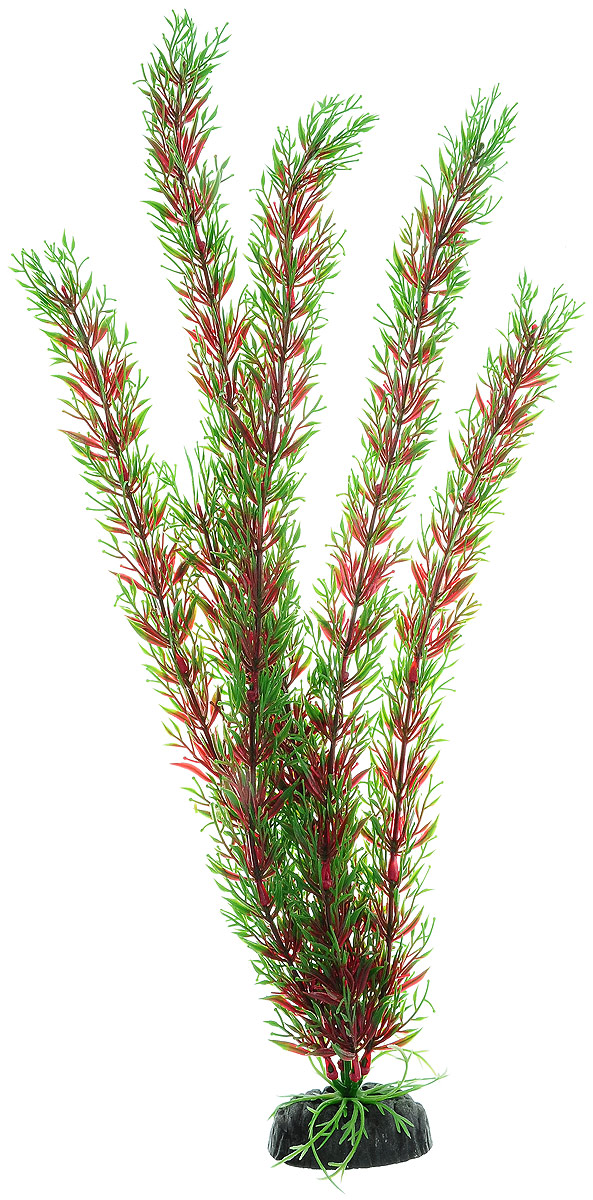 Растение для аквариума Barbus Перистолистник красный, пластиковое, высота 50 смPlant 001/50 Растение для аквариума Barbus Перистолистник красный, пластиковое, высота 50 смPlant 001/50Растение Barbus Перистолистник красный, выполненное из высококачественного нетоксичного пластика, станет прекрасным украшением вашего аквариума. Пластиковое растение идеально подходит для дизайна всех видов аквариумов. В воде происходит абсолютная имитация живых растений. Изделие не требует дополнительного ухода. Оно абсолютно безопасно, нейтрально к водному балансу, устойчиво к истиранию краски, подходит как для пресноводного, так и для морского аквариума. Растение для аквариума Barbus Перистолистник красный поможет вам смоделировать потрясающий пейзаж на дне вашего аквариума. Высота растения: 50 см.