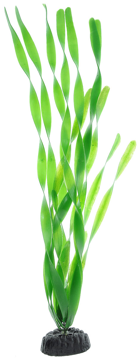 Растение для аквариума Barbus Валлиснерия широколистная, пластиковое, высота 50 смPlant 005/50 Растение для аквариума Barbus Валлиснерия широколистная, пластиковое, высота 50 смPlant 005/50Растение для аквариума Barbus Валлиснерия широколистная, выполненное из качественного пластика, станет оригинальным украшением вашего аквариума. Пластиковое растение идеально подходит для дизайна всех видов аквариумов. Оно абсолютно безопасно, нейтрально к водному балансу, устойчиво к истиранию краски, подходит как для пресноводного, так и для морского аквариума. Растение для аквариума Barbus поможет вам смоделировать потрясающий пейзаж на дне вашего аквариума или террариума. Высота растения: 50 см.