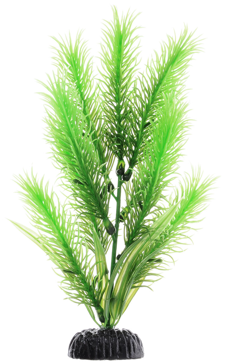 Растение для аквариума Barbus Перистолистник зеленый, пластиковое, высота 20 смPlant 028/20 Растение для аквариума Barbus Перистолистник зеленый, пластиковое, высота 20 смPlant 028/20Растение для аквариума Barbus Перистолистник зеленый, выполненное из качественного пластика, станет прекрасным украшением вашего аквариума. Пластиковое растение идеально подходит для дизайна всех видов аквариумов. Оно абсолютно безопасно, нейтрально к водному балансу, устойчиво к истиранию краски, подходит как для пресноводного, так и для морского аквариума. Растение для аквариума Barbus поможет вам смоделировать потрясающий пейзаж на дне вашего аквариума или террариума. Высота растения: 20 см.