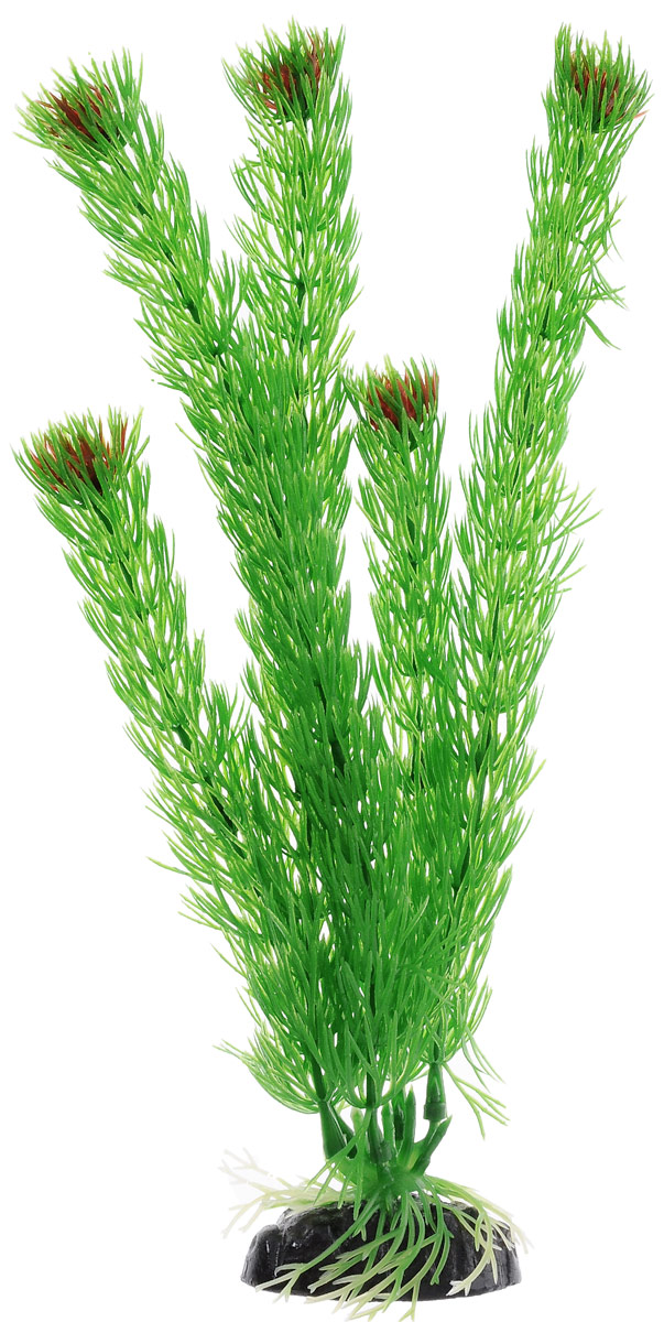 Растение для аквариума Barbus Амбулия, пластиковое, высота 30 смPlant 002/30 Растение для аквариума Barbus Амбулия, пластиковое, высота 30 смPlant 002/30Растение для аквариума Barbus Амбулия, выполненное из качественного пластика, станет прекрасным украшением вашего аквариума. Пластиковое растение идеально подходит для дизайна всех видов аквариумов. Оно абсолютно безопасно, нейтрально к водному балансу, устойчиво к истиранию краски, подходит как для пресноводного, так и для морского аквариума. Растение для аквариума Barbus поможет вам смоделировать потрясающий пейзаж на дне вашего аквариума или террариума. Высота растения: 30 см.