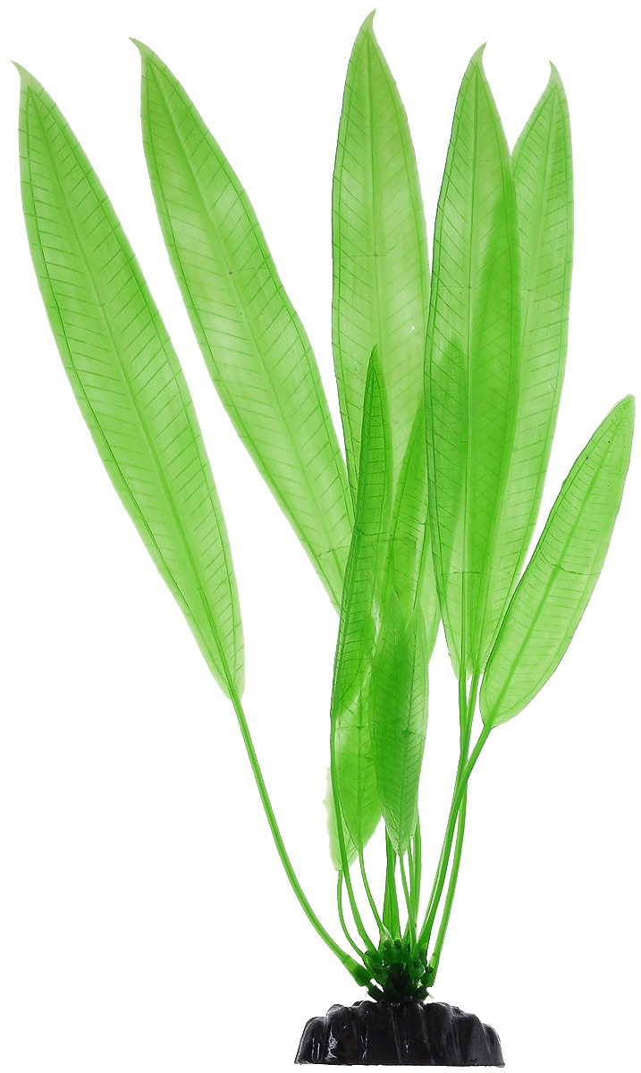 Растение для аквариума Barbus Эхинодорус амазонский, пластиковое, высота 30 смPlant 009/30 Растение для аквариума Barbus Эхинодорус амазонский, пластиковое, высота 30 смPlant 009/30Растение Barbus Эхинодорус амазонский, выполненное из высококачественного нетоксичного пластика, станет прекрасным украшением вашего аквариума. Пластиковое растение идеально подходит для дизайна всех видов аквариумов. В воде происходит абсолютная имитация живых растений. Изделие не требует дополнительного ухода. Оно абсолютно безопасно, нейтрально к водному балансу, устойчиво к истиранию краски, подходит как для пресноводного, так и для морского аквариума. Растение для аквариума Barbus Эхинодорус амазонский поможет вам смоделировать потрясающий пейзаж на дне вашего аквариума. Высота растения: 30 см.