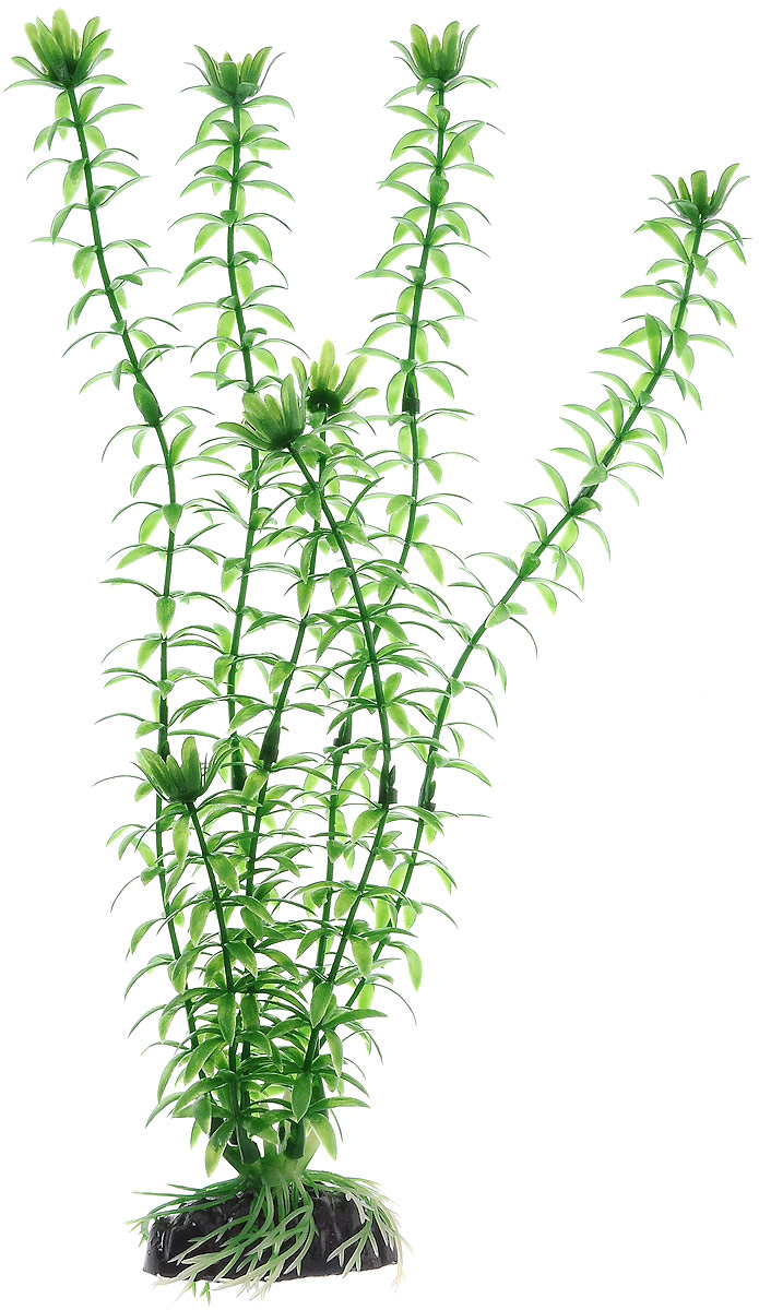 Растение для аквариума Barbus Элодея, пластиковое, высота 30 смPlant 004/30 Растение для аквариума Barbus Элодея, пластиковое, высота 30 смPlant 004/30ПРастение для аквариума Barbus Элодея, выполненное из качественного пластика, станет прекрасным украшением вашего аквариума. Пластиковое растение идеально подходит для дизайна всех видов аквариумов. Оно абсолютно безопасно, нейтрально к водному балансу, устойчиво к истиранию краски, подходит как для пресноводного, так и для морского аквариума. Растение для аквариума Barbus поможет вам смоделировать потрясающий пейзаж на дне вашего аквариума или террариума. Высота растения: 30 см.