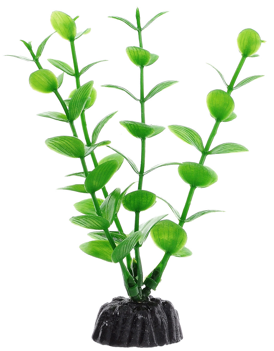 Растение для аквариума Barbus Бакопа зеленая, пластиковое, высота 10 смPlant 010/10 Растение для аквариума Barbus Бакопа зеленая, пластиковое, высота 10 смPlant 010/10Растение Barbus Бакопа, выполненное из высококачественного нетоксичного пластика, станет прекрасным украшением вашего аквариума. Пластиковое растение идеально подходит для дизайна всех видов аквариумов. В воде происходит абсолютная имитация живых растений. Изделие не требует дополнительного ухода. Оно абсолютно безопасно, нейтрально к водному балансу, устойчиво к истиранию краски, подходит как для пресноводного, так и для морского аквариума. Растение для аквариума Barbus Бакопа поможет вам смоделировать потрясающий пейзаж на дне вашего аквариума. Высота растения: 10 см.