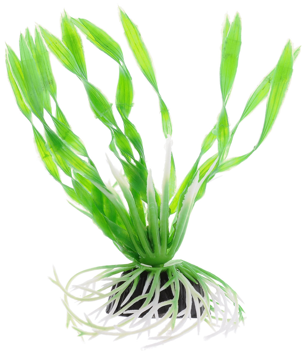 Растение для аквариума Barbus Валлиснерия спиральная, пластиковое, высота 10 смPlant 014/10 Растение для аквариума Barbus Валлиснерия спиральная, пластиковое, высота 10 смPlant 014/10Растение Barbus Валлиснерия спиральная, выполненное из высококачественного нетоксичного пластика, станет прекрасным украшением вашего аквариума. Пластиковое растение идеально подходит для дизайна всех видов аквариумов. В воде происходит абсолютная имитация живых растений. Изделие не требует дополнительного ухода. Оно абсолютно безопасно, нейтрально к водному балансу, устойчиво к истиранию краски, подходит как для пресноводного, так и для морского аквариума. Растение для аквариума Barbus Валлиснерия спиральная поможет вам смоделировать потрясающий пейзаж на дне вашего аквариума. Высота растения: 10 см.