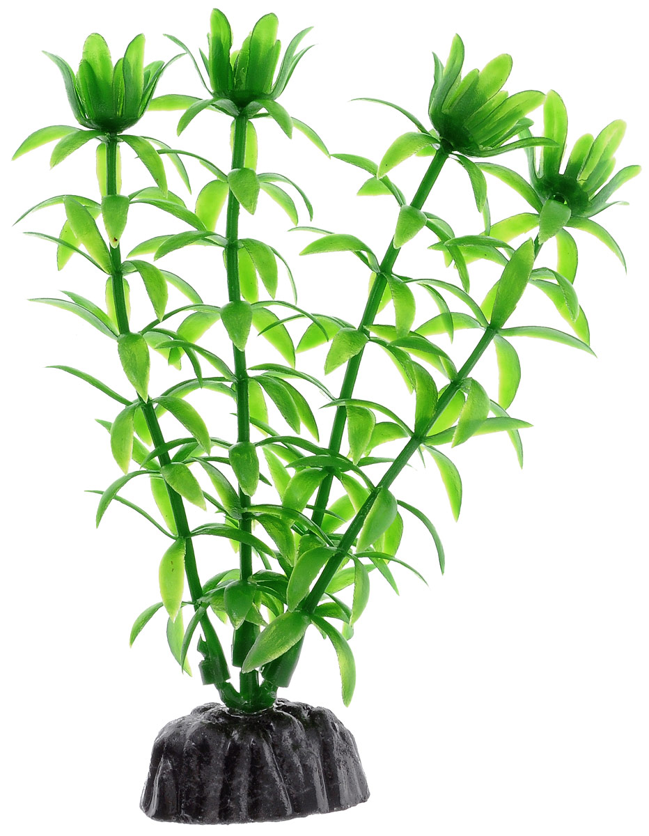 Растение для аквариума Barbus Элодея, пластиковое, высота 10 смPlant 004/10 Растение для аквариума Barbus Элодея, пластиковое, высота 10 смPlant 004/10Растение для аквариума Barbus Элодея, выполненное из качественного пластика, станет прекрасным украшением вашего аквариума. Пластиковое растение идеально подходит для дизайна всех видов аквариумов. Оно абсолютно безопасно, нейтрально к водному балансу, устойчиво к истиранию краски, подходит как для пресноводного, так и для морского аквариума. Растение для аквариума Barbus поможет вам смоделировать потрясающий пейзаж на дне вашего аквариума или террариума. Высота растения: 10 см.