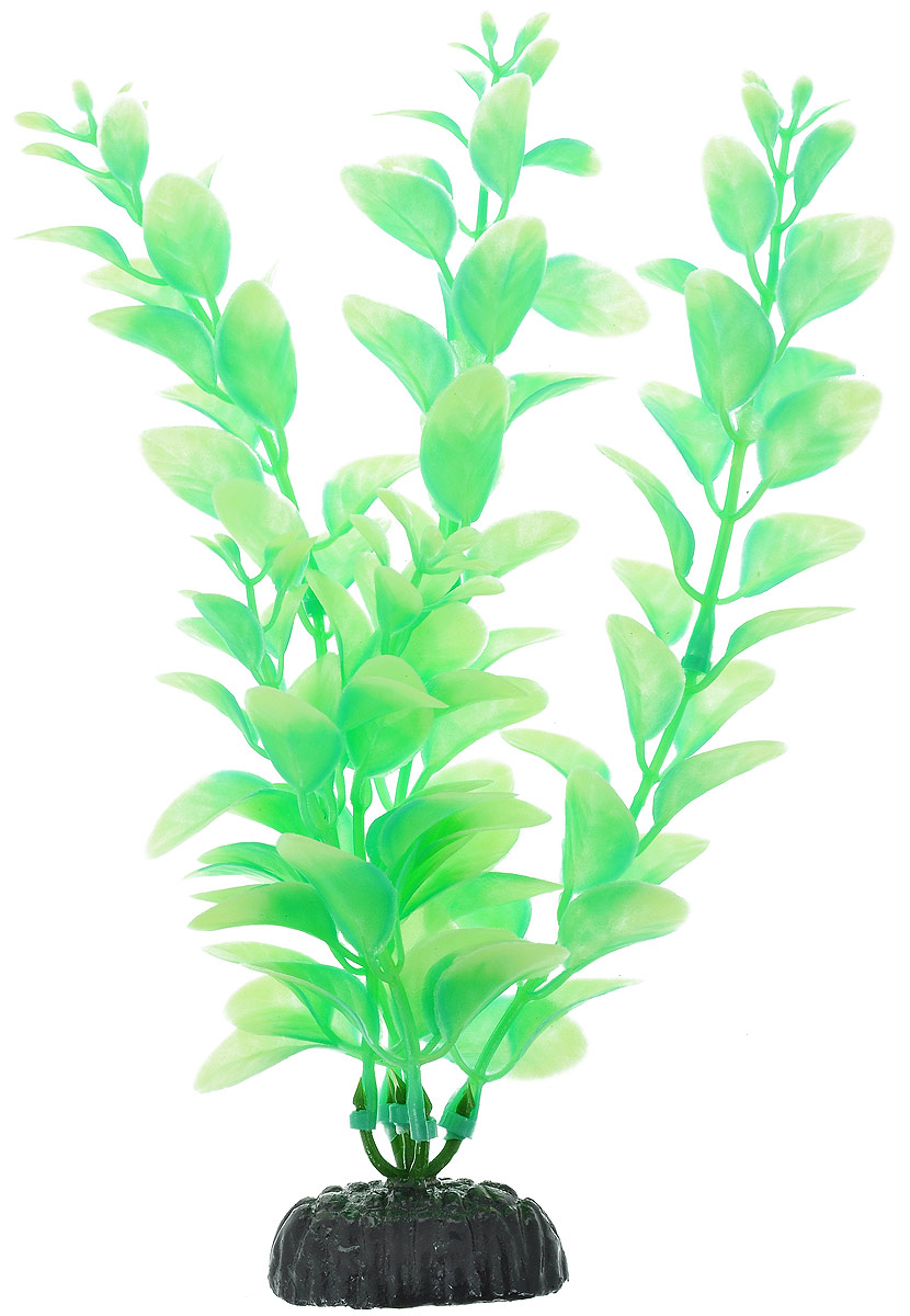 Растение для аквариума Barbus Людвигия, пластиковое, светящееся, высота 20 смPlant 057 DARK/20 Растение для аквариума Barbus Людвигия, пластиковое, светящееся, высота 20 смPlant 057 DARK/20Растение Barbus Людвигия выполнено из высококачественного нетоксичного пластика. Оно светится в темноте и станет оригинальным и необычным украшением вашего аквариума. Изделие не требует дополнительного ухода Оно абсолютно безопасно, нейтрально к водному балансу, устойчиво к истиранию краски, подходит как для пресноводного, так и для морского аквариума. Растение для аквариума Barbus Людвигия поможет вам смоделировать потрясающий пейзаж на дне вашего аквариума или террариума. Высота растения: 20 см.