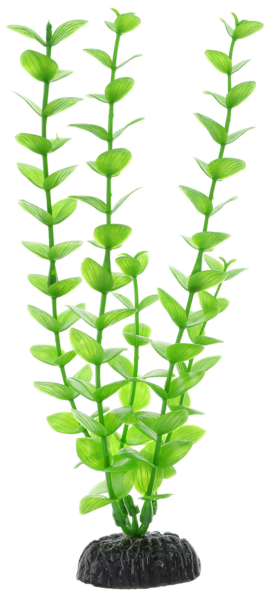 Растение для аквариума Barbus Бакопа зеленая, пластиковое, высота 20 смPlant 010/20 Растение для аквариума Barbus Бакопа зеленая, пластиковое, высота 20 смPlant 010/20Растение для аквариума Barbus Бакопа зеленая, выполненное из качественного пластика, станет оригинальным украшением вашего аквариума. Пластиковое растение идеально подходит для дизайна всех видов аквариумов. Оно абсолютно безопасно, нейтрально к водному балансу, устойчиво к истиранию краски, подходит как для пресноводного, так и для морского аквариума. Растение для аквариума Barbus поможет вам смоделировать потрясающий пейзаж на дне вашего аквариума или террариума. Высота растения: 20 см.