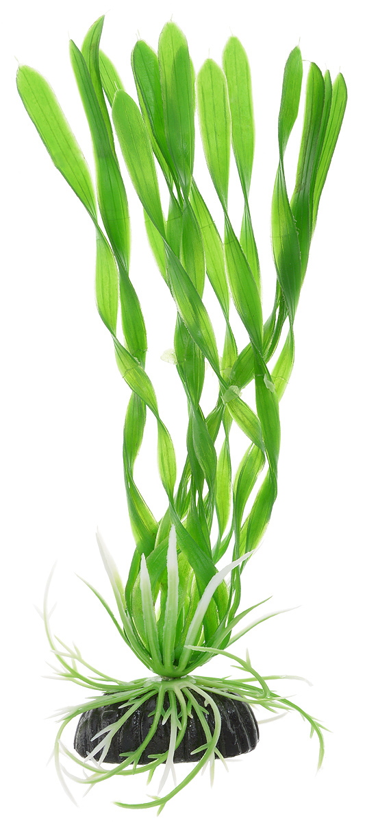Растение для аквариума Barbus Валлиснерия спиральная, пластиковое, высота 20 смPlant 014/20 Растение для аквариума Barbus Валлиснерия спиральная, пластиковое, высота 20 смPlant 014/20Растение для аквариума Barbus Валлиснерия спиральная, выполненное из качественного пластика, станет оригинальным украшением вашего аквариума. Пластиковое растение идеально подходит для дизайна всех видов аквариумов. Оно абсолютно безопасно, не токсично, нейтрально к водному балансу, устойчиво к истиранию краски, подходит как для пресноводного, так и для морского аквариума. Растение для аквариума Barbus поможет вам смоделировать потрясающий пейзаж на дне вашего аквариума или террариума. Высота растения: 20 см.