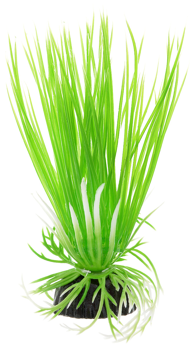Растение для аквариума Barbus Акорус, пластиковое, высота 10 смPlant 007/10 Растение для аквариума Barbus Акорус, пластиковое, высота 10 смPlant 007/10Растение для аквариума Barbus Акорус, выполненное из качественного пластика, станет оригинальным украшением вашего аквариума. Пластиковое растение идеально подходит для дизайна всех видов аквариумов. Оно абсолютно безопасно, не токсично, нейтрально к водному балансу, устойчиво к истиранию краски, подходит как для пресноводного, так и для морского аквариума. Растение для аквариума Barbus поможет вам смоделировать потрясающий пейзаж на дне вашего аквариума или террариума. Высота растения: 10 см.