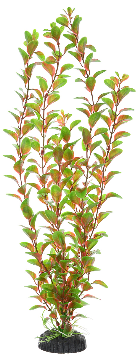 Растение для аквариума Barbus Людвигия красная, пластиковое, высота 50 смPlant 006/50 Растение для аквариума Barbus Людвигия красная, пластиковое, высота 50 смPlant 006/50Растение для аквариума Barbus Людвигия красная, выполненное из качественного пластика, станет прекрасным украшением вашего аквариума. Пластиковое растение идеально подходит для дизайна всех видов аквариумов. Оно абсолютно безопасно, нейтрально к водному балансу, устойчиво к истиранию краски, подходит как для пресноводного, так и для морского аквариума. Растение для аквариума Barbus поможет вам смоделировать потрясающий пейзаж на дне вашего аквариума или террариума. Высота растения: 50 см.