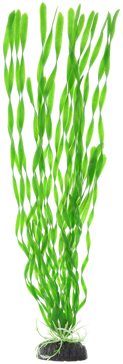 Растение для аквариума Barbus Валлиснерия спиральная, пластиковое, высота 50 смPlant 014/50 Растение для аквариума Barbus Валлиснерия спиральная, пластиковое, высота 50 смPlant 014/50Растение для аквариума Barbus Валлиснерия спиральная, выполненное из качественного пластика, станет прекрасным украшением вашего аквариума. Пластиковое растение идеально подходит для дизайна всех видов аквариумов. Оно абсолютно безопасно, нейтрально к водному балансу, устойчиво к истиранию краски, подходит как для пресноводного, так и для морского аквариума. Растение для аквариума Barbus поможет вам смоделировать потрясающий пейзаж на дне вашего аквариума или террариума. Высота растения: 50 см.
