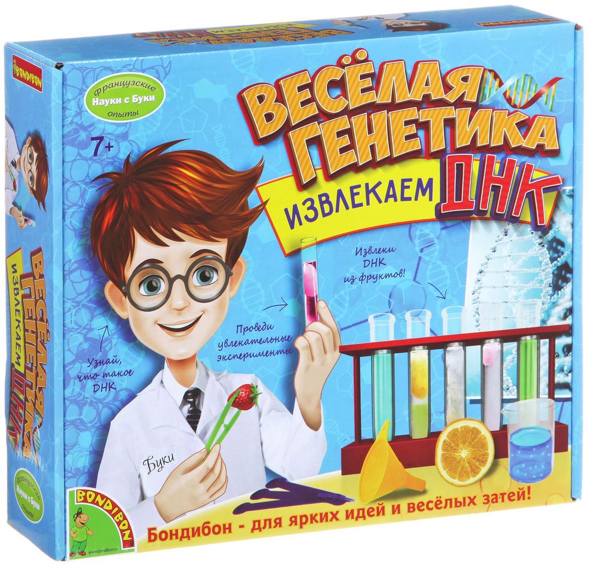 Bondibon Набор для опытов и экспериментов Веселая генетикаВВ1544 Bondibon Набор для опытов и экспериментов Веселая генетикаВВ1544Генетика – это очень интересная наука о способности организмов передавать свои признаки потомству, и о закономерностях появления таких признаков. Одним из основных понятий генетики является ДНК или дезоксирибонуклеиновая кислота. Это длинная молекула, содержащая генетическую информацию всех живых существ. Данный набор позволит ребенку произвести простой эксперимент для извлечения ДНК из фруктов – банана, винограда или клубники. Эксперимент продемонстрирует детям, как разорвать оболочку клетки растения и освободить ДНК, а также позволит увидеть и потрогать генетический материал. В состав набора входят подставка для колб, две колбы, два пластиковых стаканчика, воронка, щипцы, мерные ложечки, два пластиковых пакетика с многоразовой застежкой, четыре кофейных фильтра, иллюстрированная инструкция.