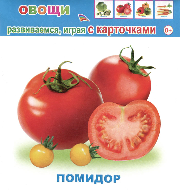 Алфея Обучающие карточки Овощи9785912826641 Алфея Обучающие карточки Овощи9785912826641Вашему вниманию предлагается набор развивающих карточек, которые познакомят вашего ребенка с окружающим миром, помогут развить фантазию и расширить кругозор. Для детей дошкольного возраста.