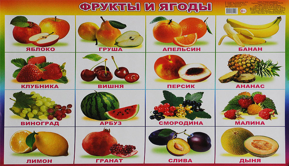 Алфея Обучающий плакат Фрукты и ягоды978-5-91282-010-6 Алфея Обучающий плакат Фрукты и ягоды978-5-91282-010-6Обучающий плакат Алфея Фрукты и ягоды с яркими цветными иллюстрациями поможет вашему ребенку не просто запомнить изображения, названия или характерные особенности различных ягод и фруктов, но и укажет вам направление для бесед, совместной деятельности и развития малыша (его речи, мышления, памяти).