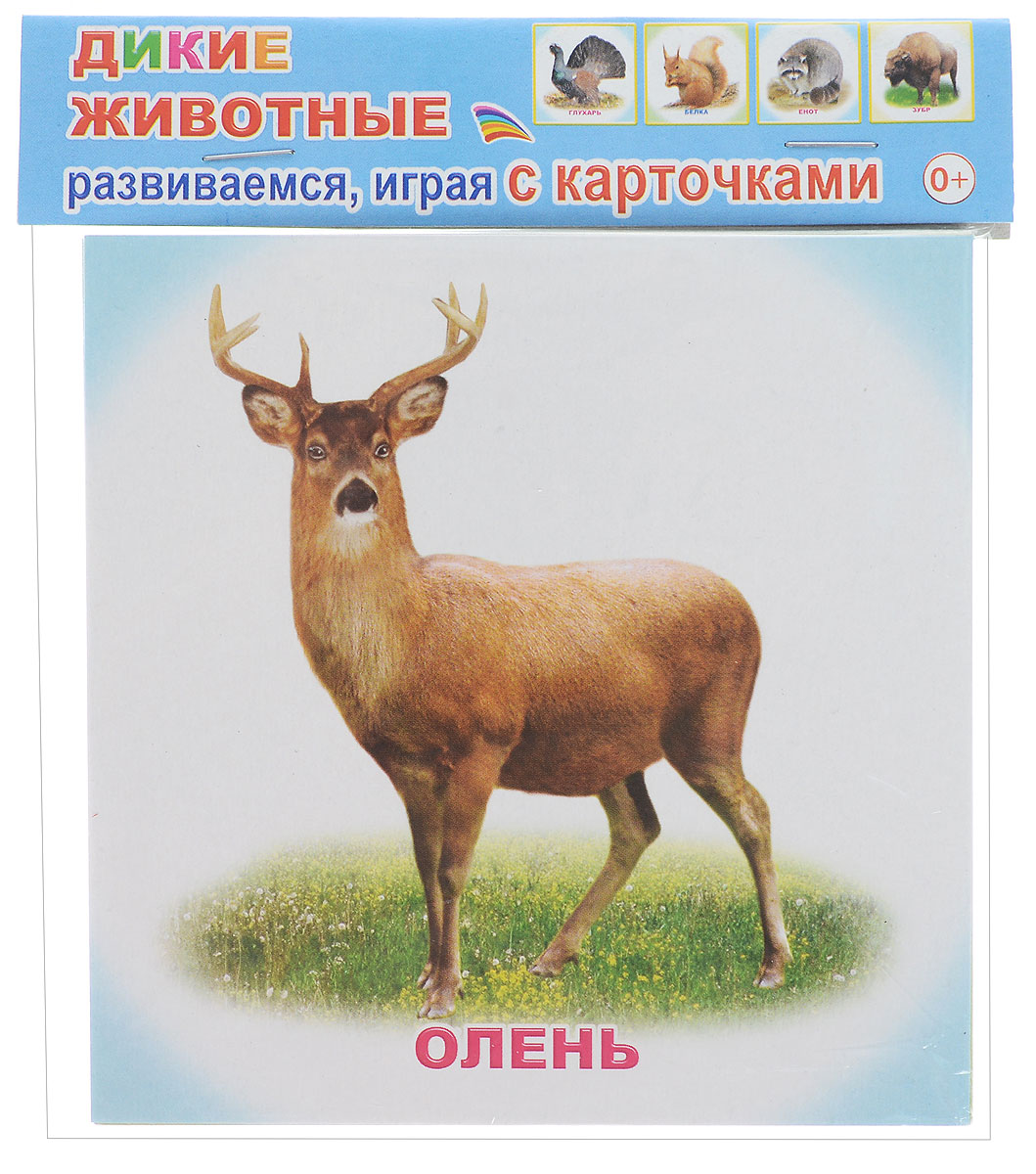 Алфея Обучающие карточки Дикие животные978-5-91282-666-5 Алфея Обучающие карточки Дикие животные978-5-91282-666-5Обучающие карточки Алфея Дикие животные помогут вашему ребенку не просто познакомиться с различными видами диких животных, запомнить их изображения, названия или их характерные особенности, но и укажут вам направление для бесед, совместной деятельности и развития малыша (его речи, мышления, памяти). Для детей дошкольного возраста.