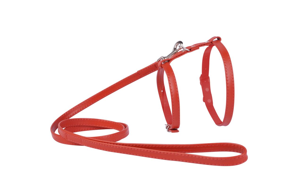 Шлейка CoLLaR Glamour, с поводком, цвет: красный, ширина 12 мм, обхват груди: 35-43 см34003 Шлейка CoLLaR Glamour, с поводком, цвет: красный, ширина 12 мм, обхват груди: 35-43 см34003Шлея CoLLaR GLAMOUR с поводком (ширина 12мм, А:25-35см, В:35-43 см) красная