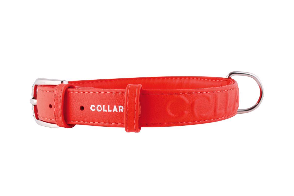 Ошейник CoLLaR Glamour, цвет: красный, ширина 25 мм, длина 38-49 см. 3457334573 Ошейник CoLLaR Glamour, цвет: красный, ширина 25 мм, длина 38-49 см. 3457334573Ошейник CoLLaR GLAMOUR с объемной надписью (ширина 25мм, длина 38-49см)красный