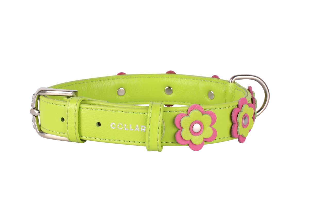 Ошейник CoLLaR Glamour Аппликация, цвет: зеленый, ширина 25 мм, длина 38-49 см35035 Ошейник CoLLaR Glamour Аппликация, цвет: зеленый, ширина 25 мм, длина 38-49 см35035Ошейник CoLLaR GLAMOUR с украшением аппликация (ширина 25мм, длина 38-49см) зелёный