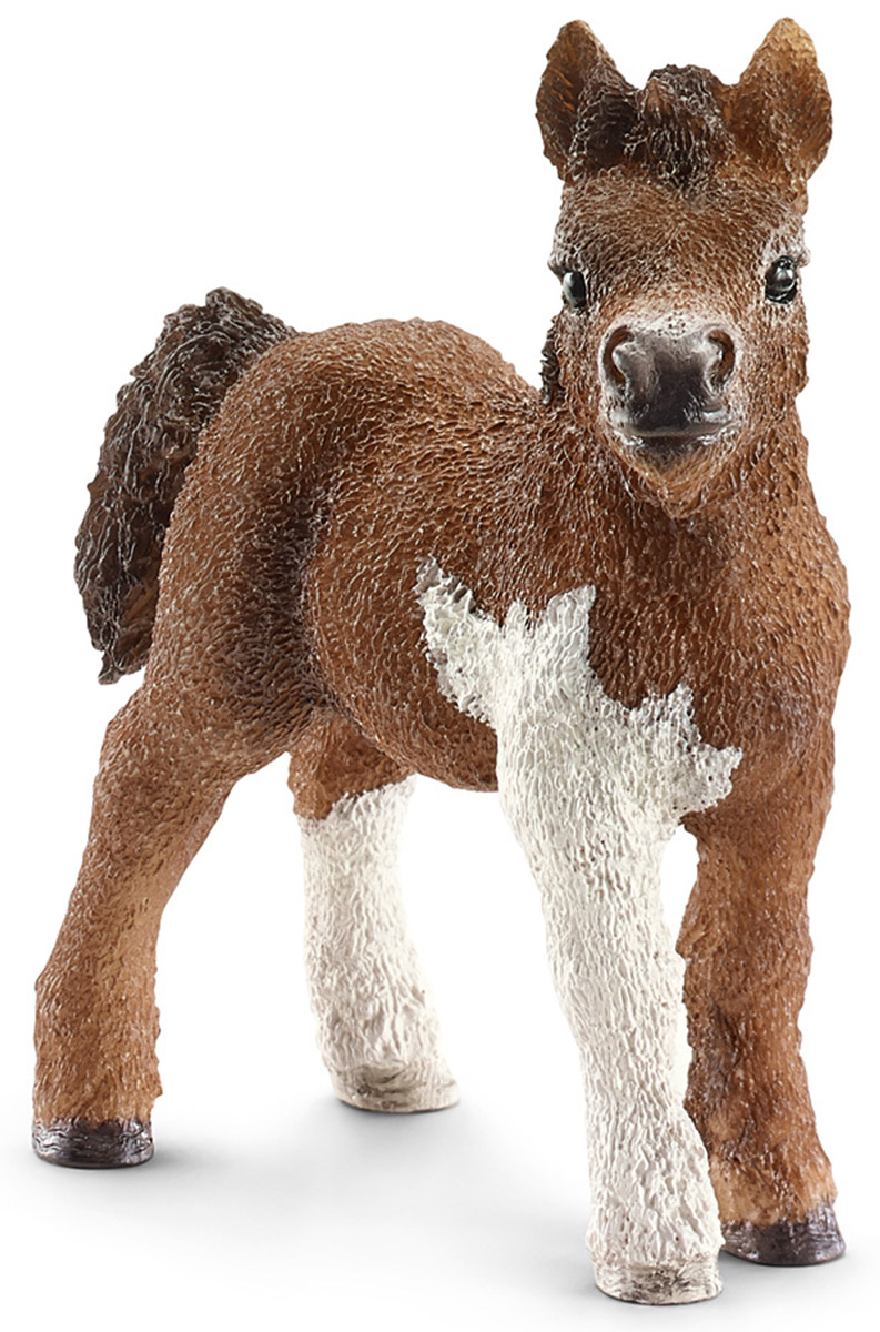 Schleich Фигурка Шетландский пони жеребенок13752 Schleich Фигурка Шетландский пони жеребенок13752Фигурка очаровательного жеребенка Schleich породы Шетланд пони разнообразит игру вашего ребенка и станет достойным пополнением его коллекции лошадей. Пони породы Шетланд назван в честь острова неподалеку от Шотландии. Они очень выносливы и использовались в сельском хозяйстве и горнодобывающей промышленности в холодном суровом климате. Сейчас эту породу лошадей можно увидеть в зоопарках, цирках, они используются для занятий с детьми и взрослыми, поскольку отличаются спокойными и плавными движениями. Прекрасно выполненные фигурки Schleich отличаются высочайшим качеством игрушек ручной работы. Все они создаются при постоянном сотрудничестве с Берлинским зоопарком, а потому являются максимально точной копией настоящих животных. Каждая фигурка разработана с учетом исследований в области педагогики и производится как настоящее произведение для маленьких детских ручек.