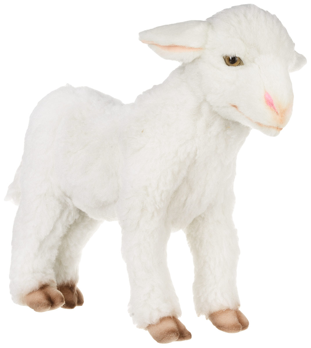 Hansa Toys Мягкая игрушка Ягненок 28 см 65626562 Hansa Toys Мягкая игрушка Ягненок 28 см 65626562Домашний баран (самка называется овца, детеныш - ягненок) - парнокопытное, млекопитающее из рода баранов, семейства полорогих. Эти очень полезные животные были одомашнены уже в глубокой древности. Из их густой мягкой шерсти изготавливают ткани, шьют одежду и одеяла. Некоторые породы овец разводятся ради мяса. Жители многих стран мира пьют овечье молоко, из которого, кроме того, изготавливают сыр. Домашние овцы живут большими стадами - отарами. Отару возглавляет старый баран, за которым, послушно повинуясь древним инстинктам, следуют все остальные члены стада. Пасти овец людям нередко помогают специально обученные собаки некоторых пород. Но на воле живут дикие бараны, они обитают в Австралии, Новой Зеландии и Южной Америке. Мягкая игрушка Hansa Toys Ягненок обязательно понравится вам и вашему малышу и познакомит вас с этим удивительным животным.
