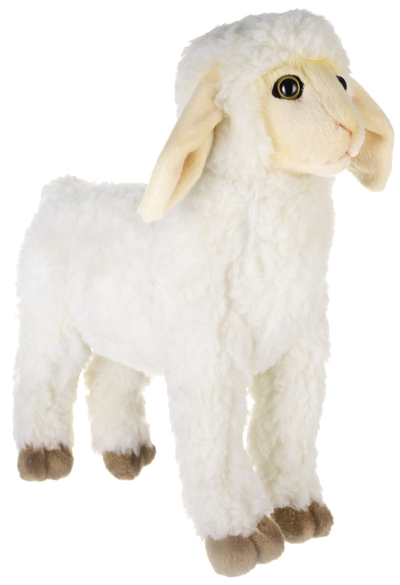 Hansa Toys Мягкая игрушка Ягненок 28 см 57595759 Hansa Toys Мягкая игрушка Ягненок 28 см 57595759Ягненок (детеныш домашнего барана) - парнокопытное млекопитающее из рода баранов семейства полорогих. Эти очень полезные животные были одомашнены уже в глубокой древности. Из их густой мягкой шерсти изготавливают ткани, шьют одежду и одеяла. Некоторые породы овец разводятся ради мяса. Жители многих стран мира пьют овечье молоко, из которого, кроме того, изготавливают сыр. Домашние овцы живут большими стадами - отарами. Отару возглавляет старый баран, за которым следуют все остальные члены стада. Пасти овец людям нередко помогают специально обученные собаки некоторых пород. На воле живут дикие бараны, они обитают в Австралии, Новой Зеландии и Южной Америке. Мягкая игрушка Hansa Toys Ягненок обязательно понравится вам и вашему малышу и познакомит вас с этим удивительным животным.