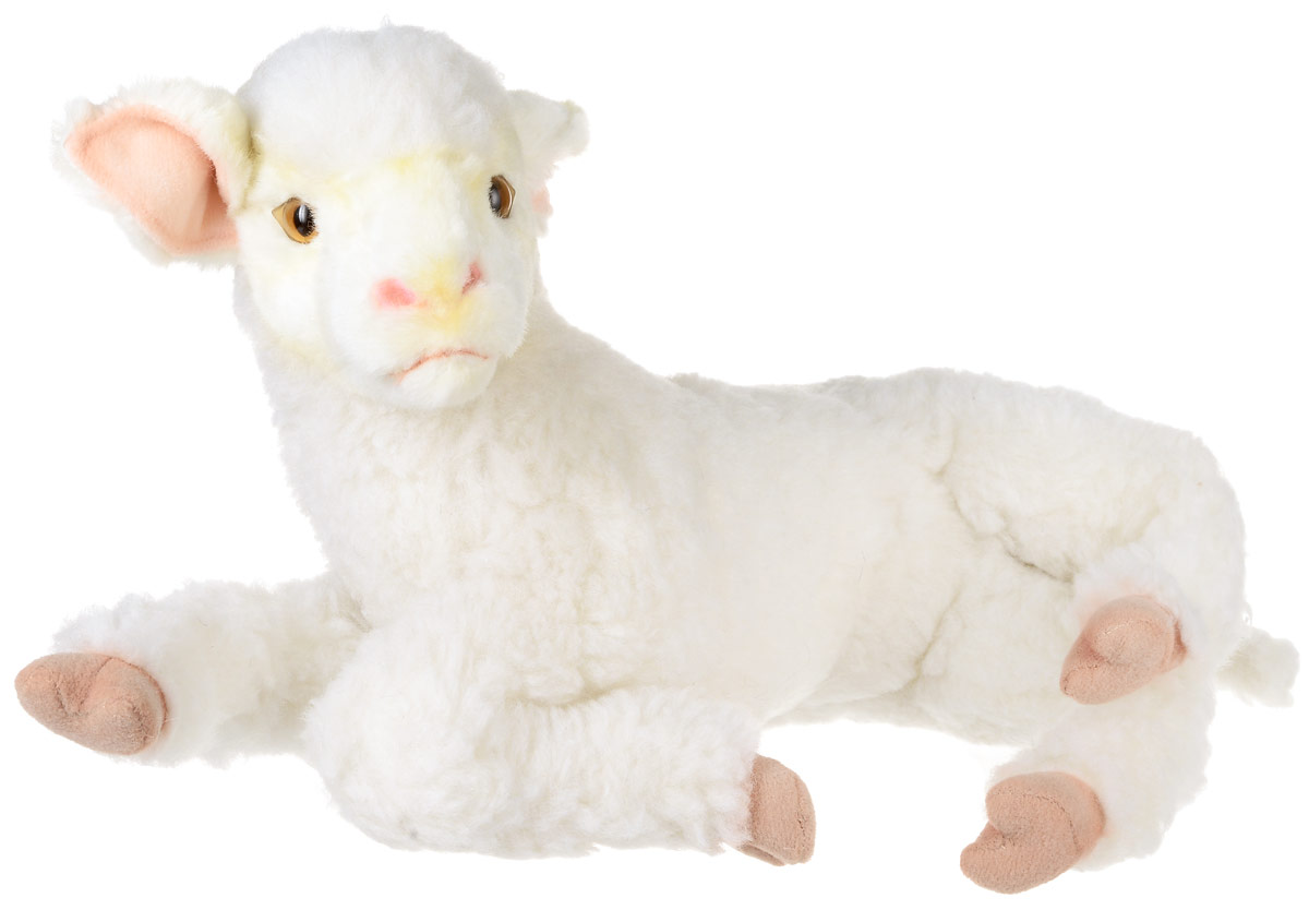 Hansa Toys Мягкая игрушка Ягненок 33 см6563 Hansa Toys Мягкая игрушка Ягненок 33 см6563Ягненок (детеныш домашнего барана) - парнокопытное млекопитающее из рода баранов семейства полорогих. Эти очень полезные животные были одомашнены уже в глубокой древности. Из их густой мягкой шерсти изготавливают ткани, шьют одежду и одеяла. Некоторые породы овец разводятся ради мяса. Жители многих стран мира пьют овечье молоко, из которого, кроме того, изготавливают сыр. Домашние овцы живут большими стадами - отарами. Отару возглавляет старый баран, за которым следуют все остальные члены стада. Пасти овец людям нередко помогают специально обученные собаки некоторых пород. На воле живут дикие бараны, они обитают в Австралии, Новой Зеландии и Южной Америке. Мягкая игрушка Hansa Toys Ягненок обязательно понравится вам и вашему малышу и познакомит вас с этим удивительным животным.
