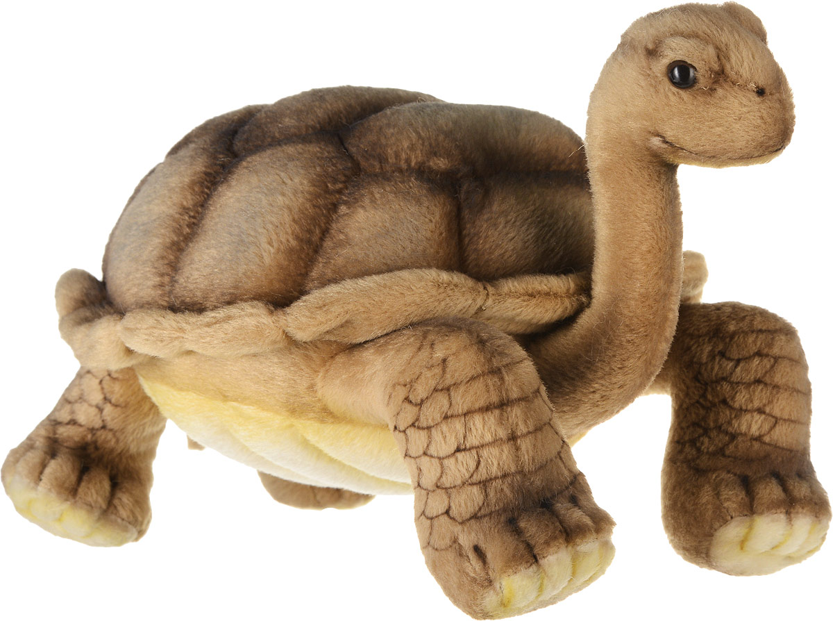 Hansa Toys Мягкая игрушка Галапагосская черепаха 30 см6461 Hansa Toys Мягкая игрушка Галапагосская черепаха 30 см6461Семейство черепах содержит около 230 современных видов, группируемых в 12 семейств, распространенных в тропической и умеренной климатических зонах почти на всей Земле и живущих как в воде, так и на суше. Черепахи являются плотоядными и травоядными. Все виды откладывают яйца, которые закапывают в ямы. Черепахи - долгожители, некоторые виды живут более 100 лет. Мягкая игрушка Hansa Toys Галапагосская черепаха обязательно понравится вам и вашему малышу, а также познакомит вас с этим животным.