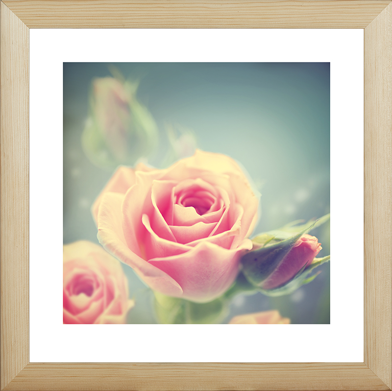 Картина Postermarket Розовые розы, 40 х 40 см. MC-46MC-46 Картина Postermarket Розовые розы, 40 х 40 см. MC-46MC-46Картина Postermarket Розовые розы прекрасно подойдет для декора интерьера различных помещений. Постер, выполненный в технике фотопечать, обрамлен паспарту и оформлен багетом бежевого цвета. Картина для интерьера (постер) - это современное и актуальное направление в дизайне помещений. Ее можно использовать для оформления любых помещений (дом, квартира, офис, бар, кафе, ресторан или гостиница). работоспособность. Правильное оформление интерьера создает благоприятный психологический климат, улучшает настроение и мотивирует. Размер картины: 400 x 400 мм.