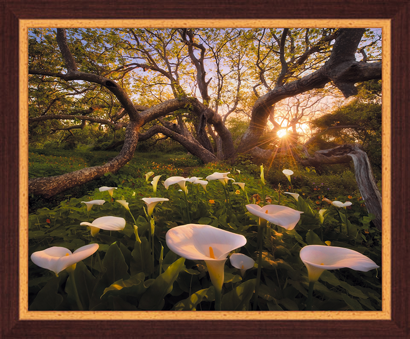 Картина Postermarket Рай на Земле, 40 х 50 см. PM-4019PM-4019 Картина Postermarket Рай на Земле, 40 х 50 см. PM-4019PM-4019Картина Postermarket Рай на Земле прекрасно подойдет для декора интерьера различных помещений. Постер, выполненный в технике фотопечать, оформлен багетом коричневого цвета. Картина для интерьера (постер) - это современное и актуальное направление в дизайне помещений. Ее можно использовать для оформления любых помещений (дом, квартира, офис, бар, кафе, ресторан или гостиница). работоспособность. Правильное оформление интерьера создает благоприятный психологический климат, улучшает настроение и мотивирует. Размер картины: 400 x 500 мм.