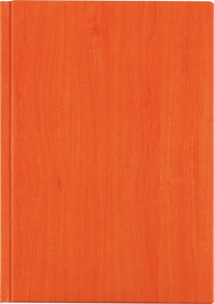Erich Krause Ежедневник Acero недатированный 176 листов цвет оранжевый