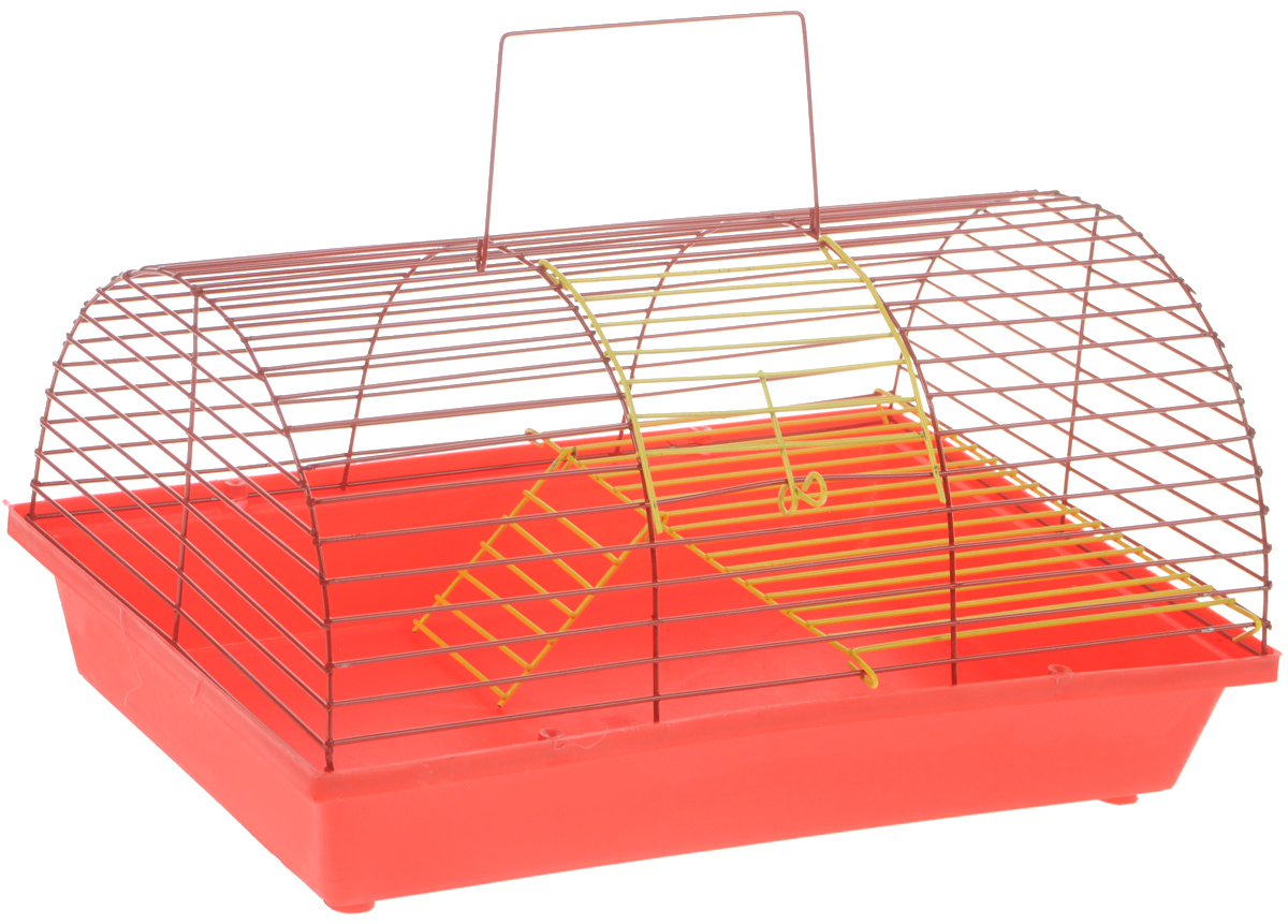 Клетка для грызунов "ЗооМарк", цвет: красный поддон, красная решетка, 36 х 23 х 17,5 см. 110ж